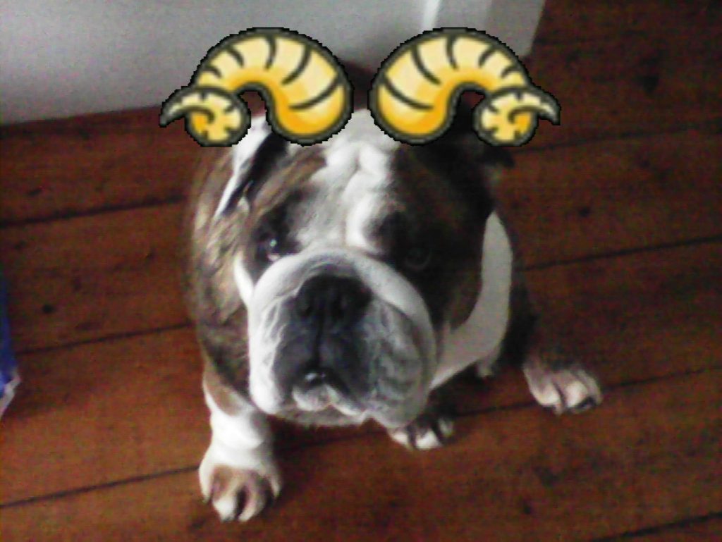 Example of overlays (aka Stickers) adding Horns to our dog. Taken on no name kids camera 2023