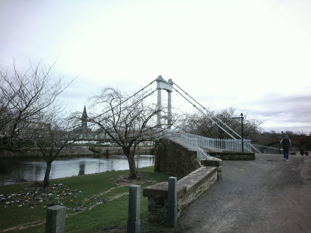 Standard Colour PS 20MP