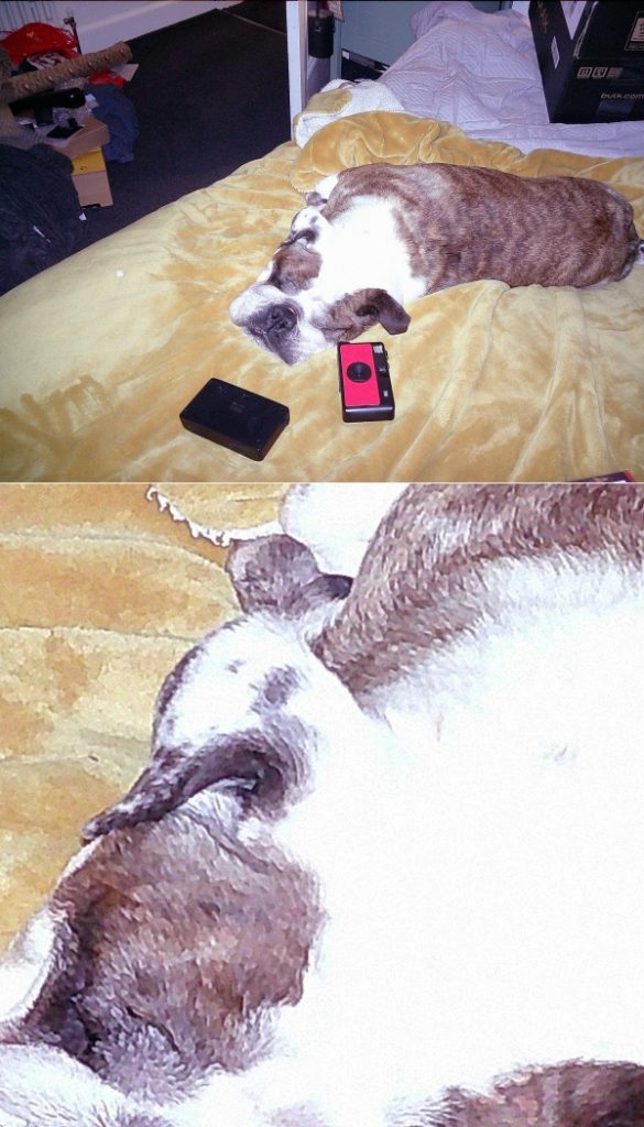 Example image at 487 ISO on Echolens with 600sq crop below