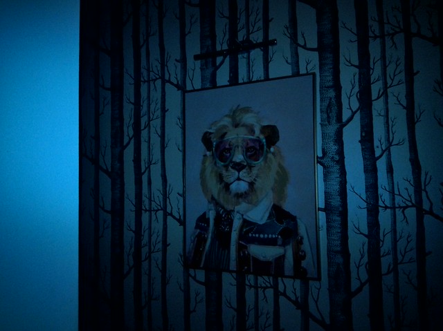 Cappy Camera flash at 2m