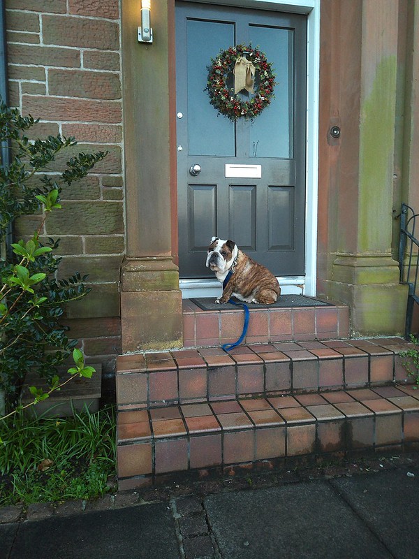 Dog and Door. Taken on a Camp Snap Pro