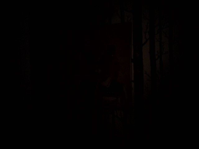 Non flash shot in near dark