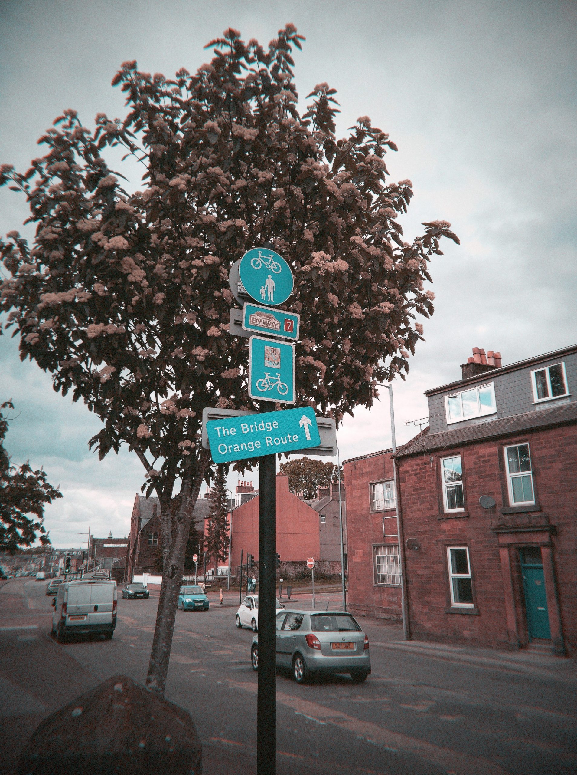 sample image with Flashback Cine filter. Flashback ONE35 V2. Dumfries 2026